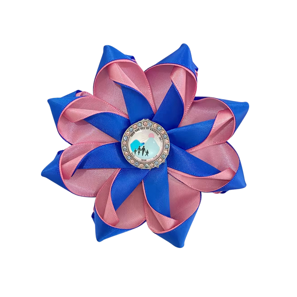 Jj Ribbons Jack and Jill Pink & Blue Ribbon Brooch – JJ Crest – Butter & Bear
